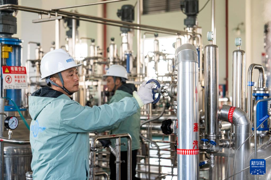 湖南津市：生物制造产业加速发展