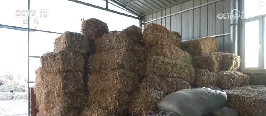 各地细化服务加固大棚、保证热源、加强巡查 办实民生小事保障百姓生产生活