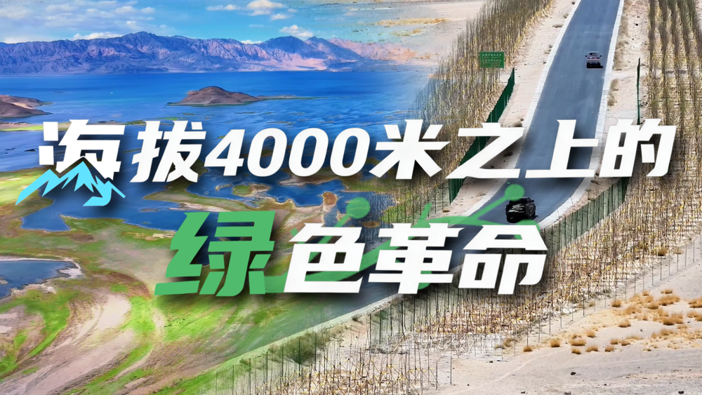 “高冷”经济看发展|绿意攀高!海拔4000米之上的绿色革命 “高冷”经济看发展|绿意攀高!海拔4000米之上的绿色革命