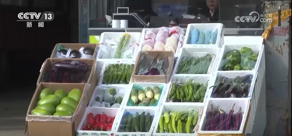 应对低温挑战 多地数措并举保障百姓“菜篮子”供应充足