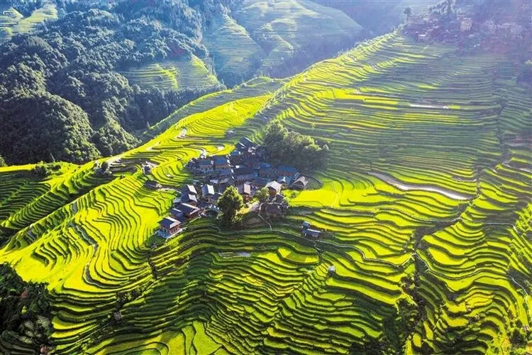 【“十五五”我所思·我所盼】刘庆邦：为乡村振兴尽情放歌