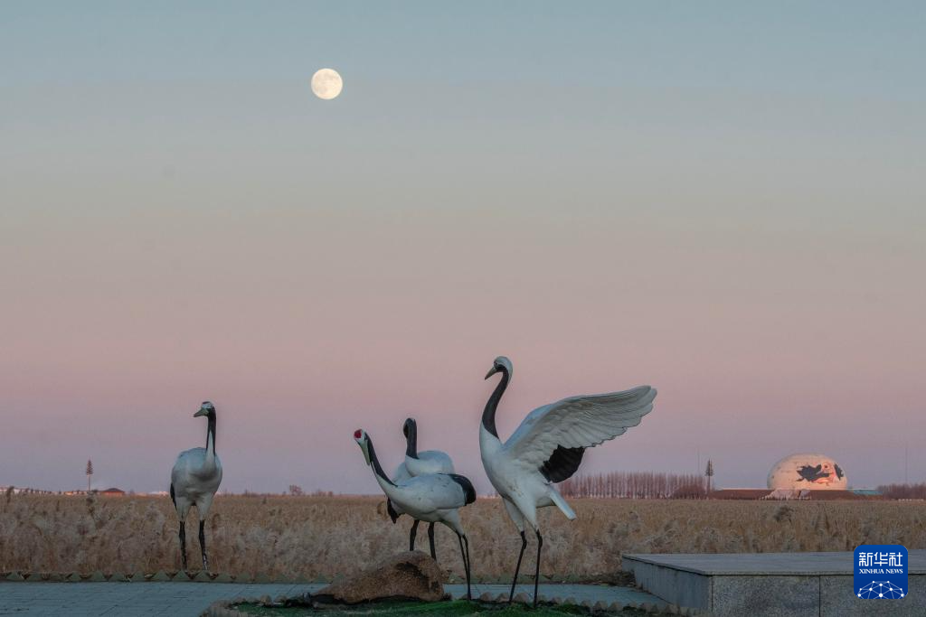 “超级月亮”亮相天宇