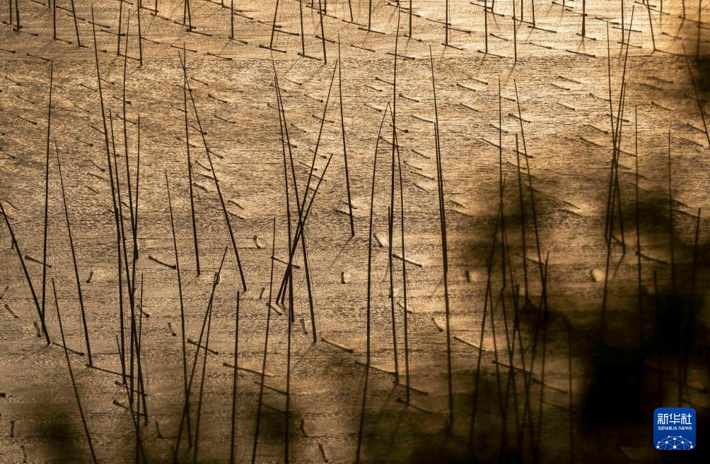 福建霞浦：“渔旅融合”绘就乡村振兴新图景