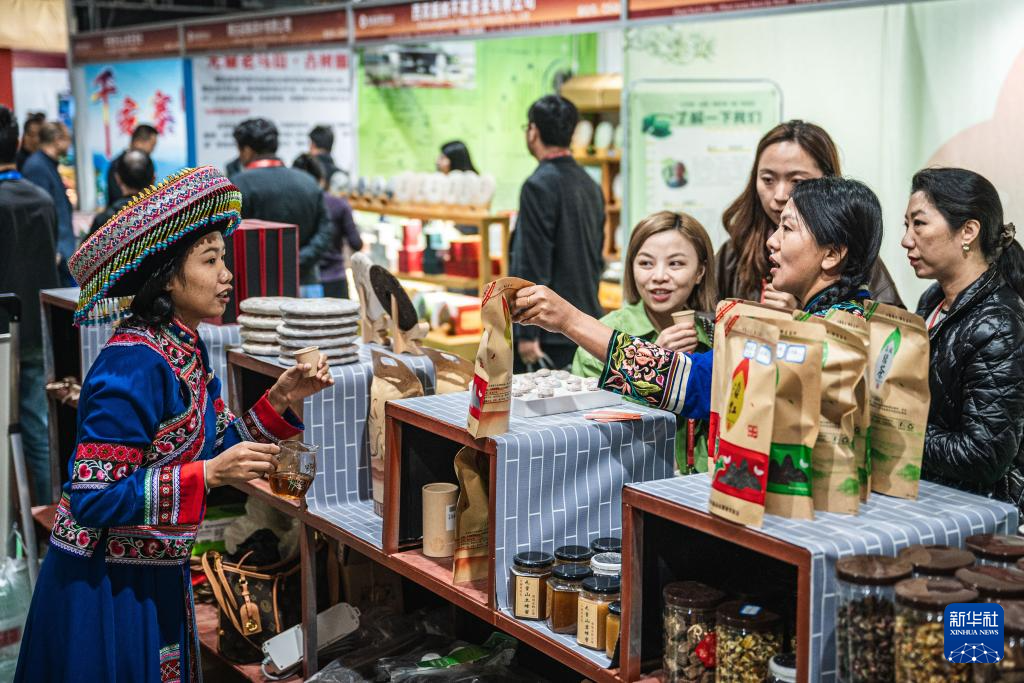 云南普洱：博览会上的茶咖相遇