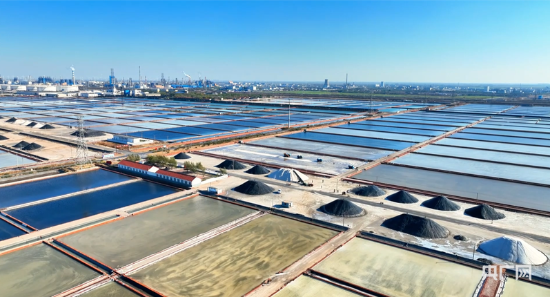 行进的海岸线｜陆海统筹 看中国经济向海图强的价值共生