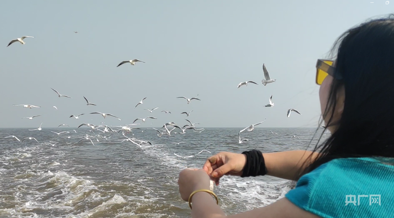 行进的海岸线｜陆海统筹 看中国经济向海图强的价值共生