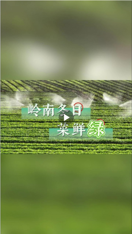 二十四节气·寻味广西丨大雪