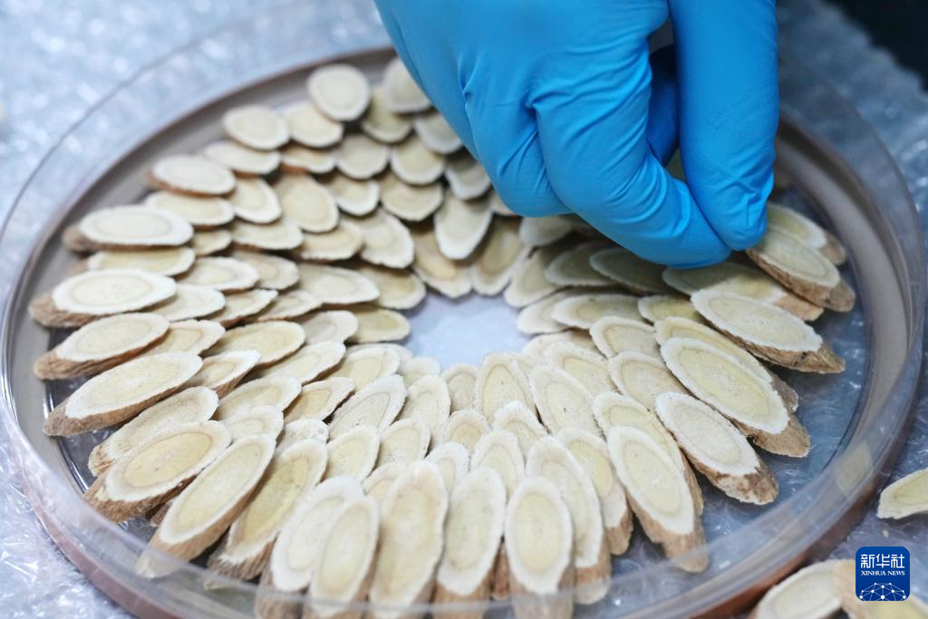 宁夏隆德：深化闽宁协作 打造中药材产业高地