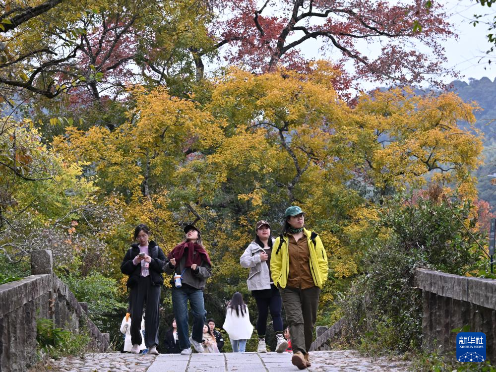 福州九峰村冬景迷人