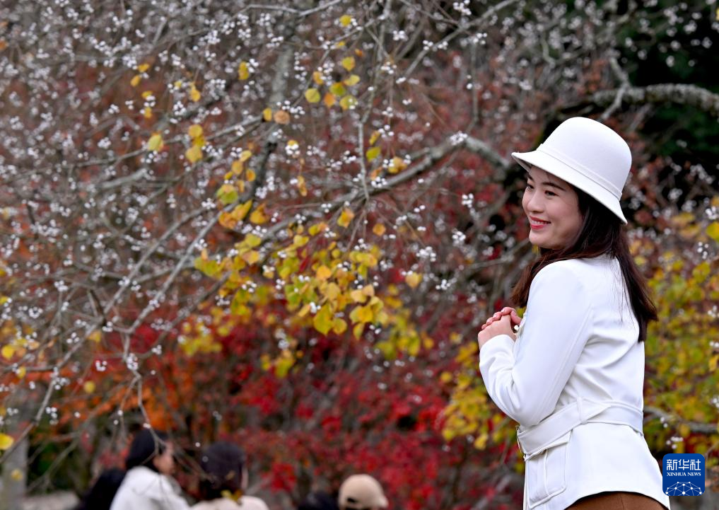 福州九峰村冬景迷人