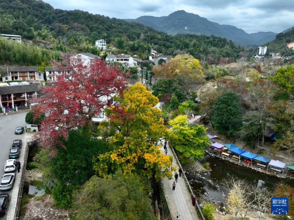 福州九峰村冬景迷人