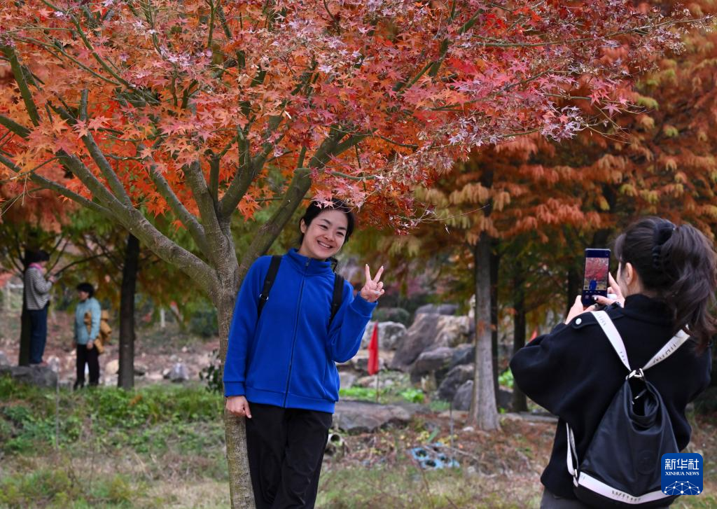 福州九峰村冬景迷人