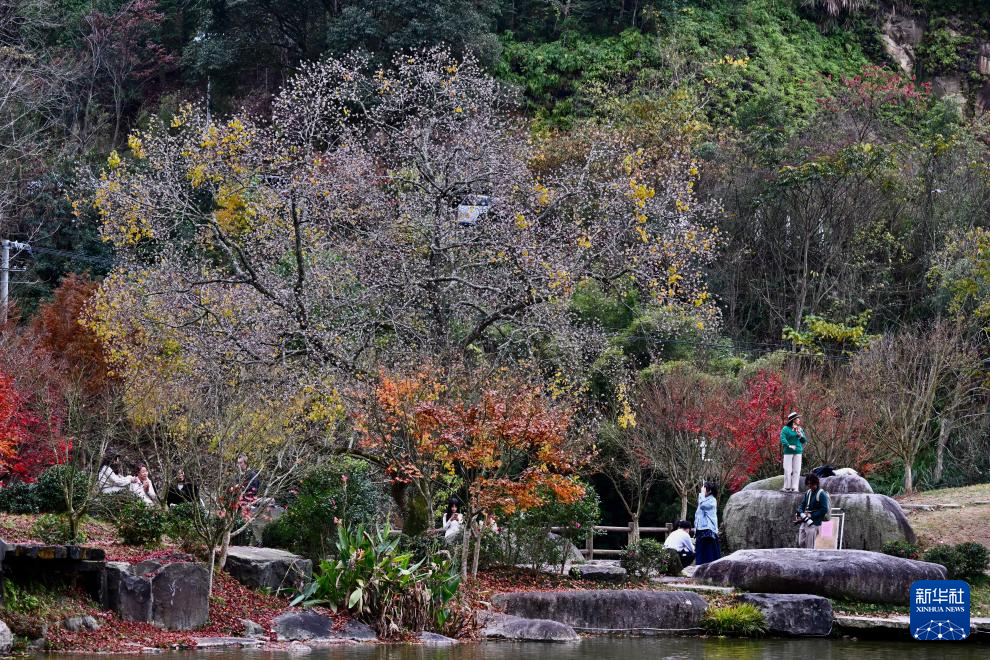 福州九峰村冬景迷人