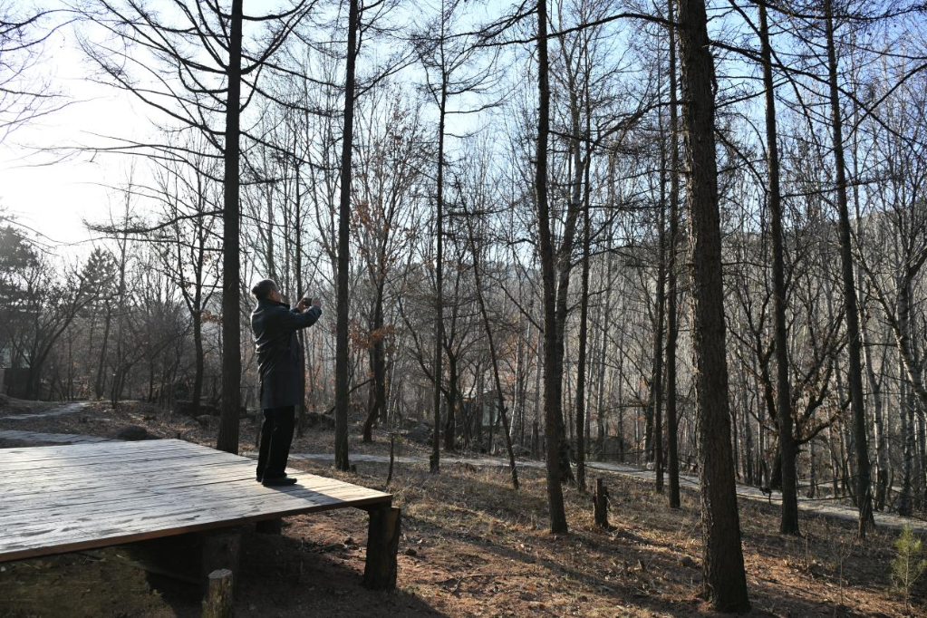 从专家的三句感叹,看吕梁离石“生态+”赋能乡村振兴的新实践
