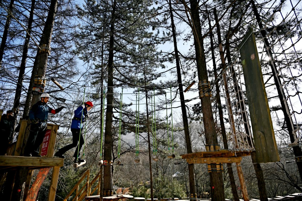 从专家的三句感叹,看吕梁离石“生态+”赋能乡村振兴的新实践