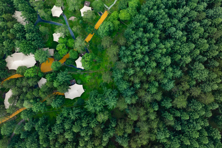 从专家的三句感叹,看吕梁离石“生态+”赋能乡村振兴的新实践