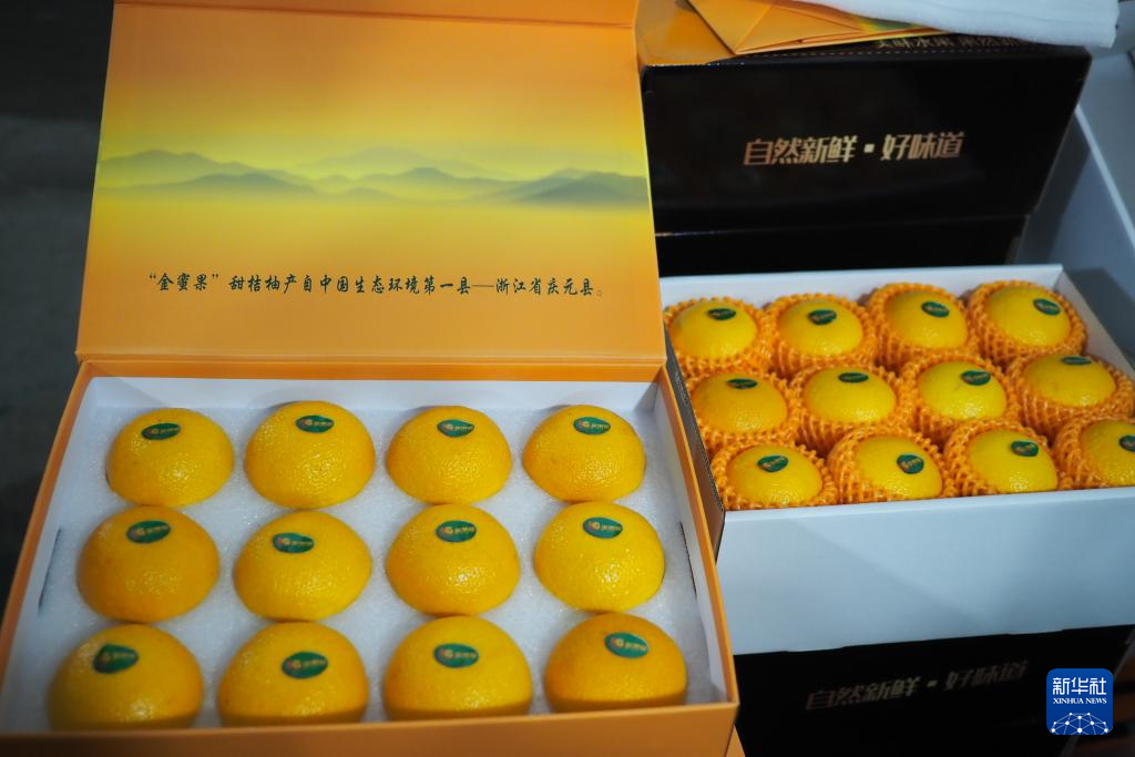 浙江庆元:甜桔柚迎来丰收季