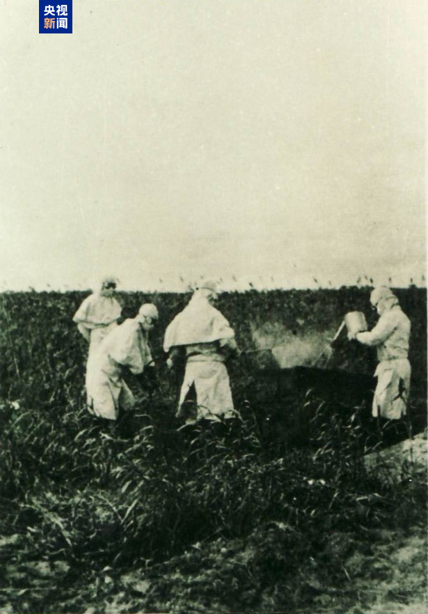 视频丨罪证确凿！原队员证实731部队用飞机降雨式播撒细菌