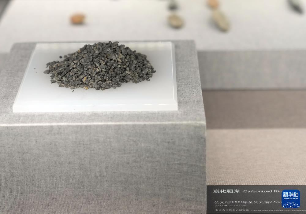 “玉见文明:良渚文化特展”亮相上海