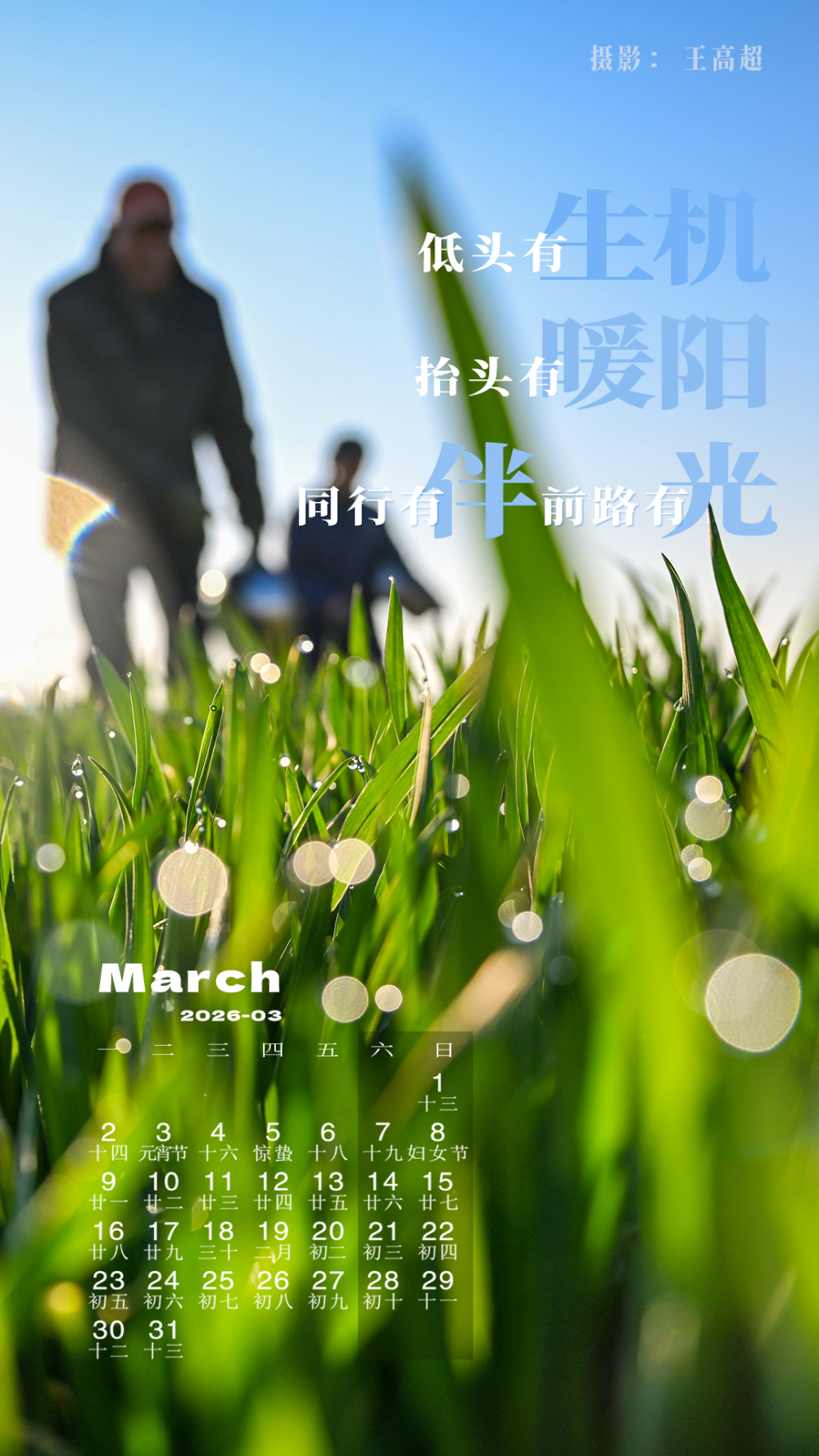 解锁2026壁纸，承包你一整年的屏保浪漫