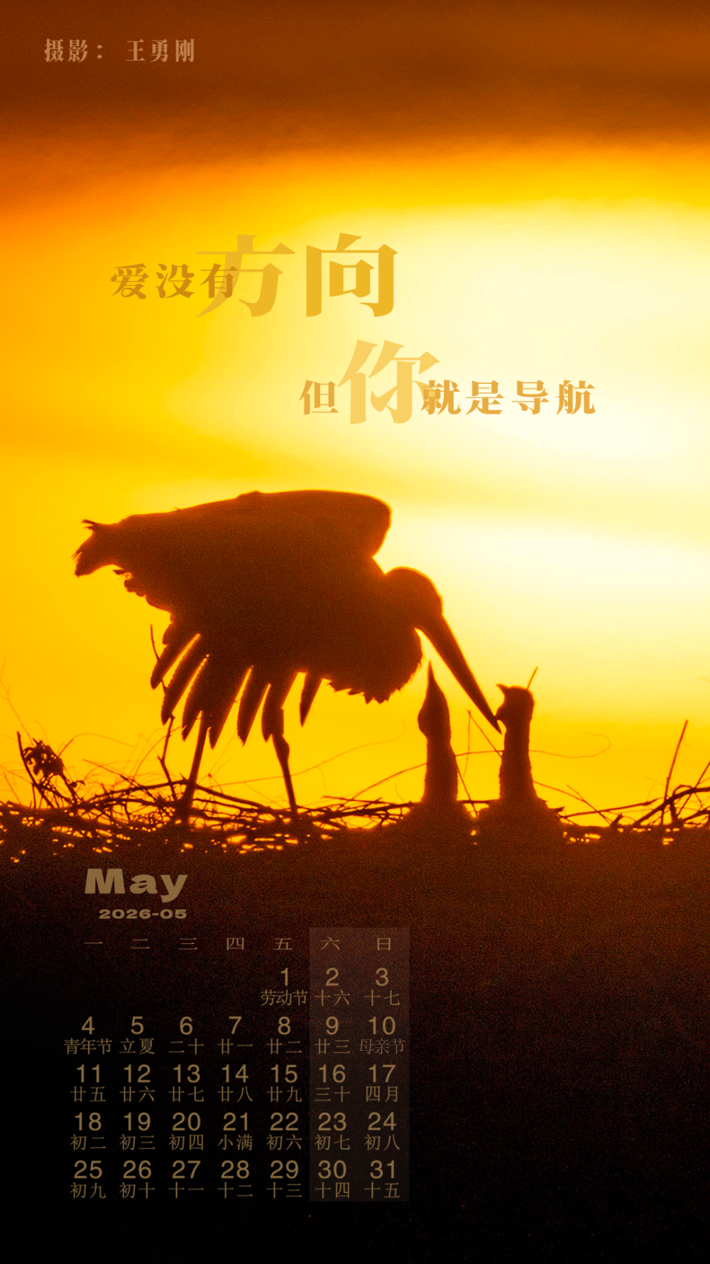 解锁2026壁纸，承包你一整年的屏保浪漫