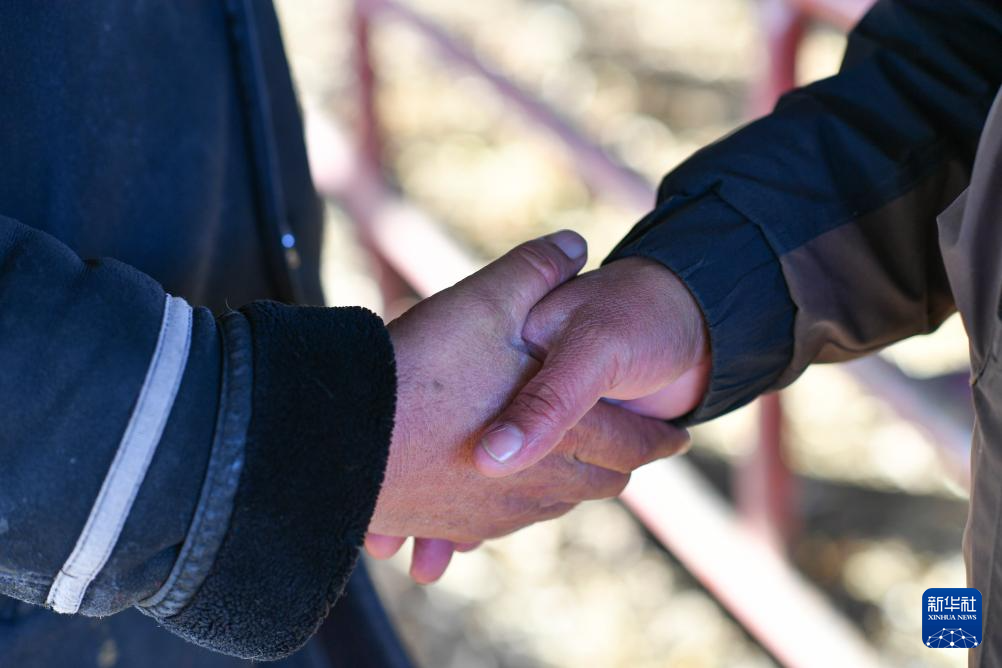 在新疆的巴扎 他们是连接牧场和市场的“纽带”