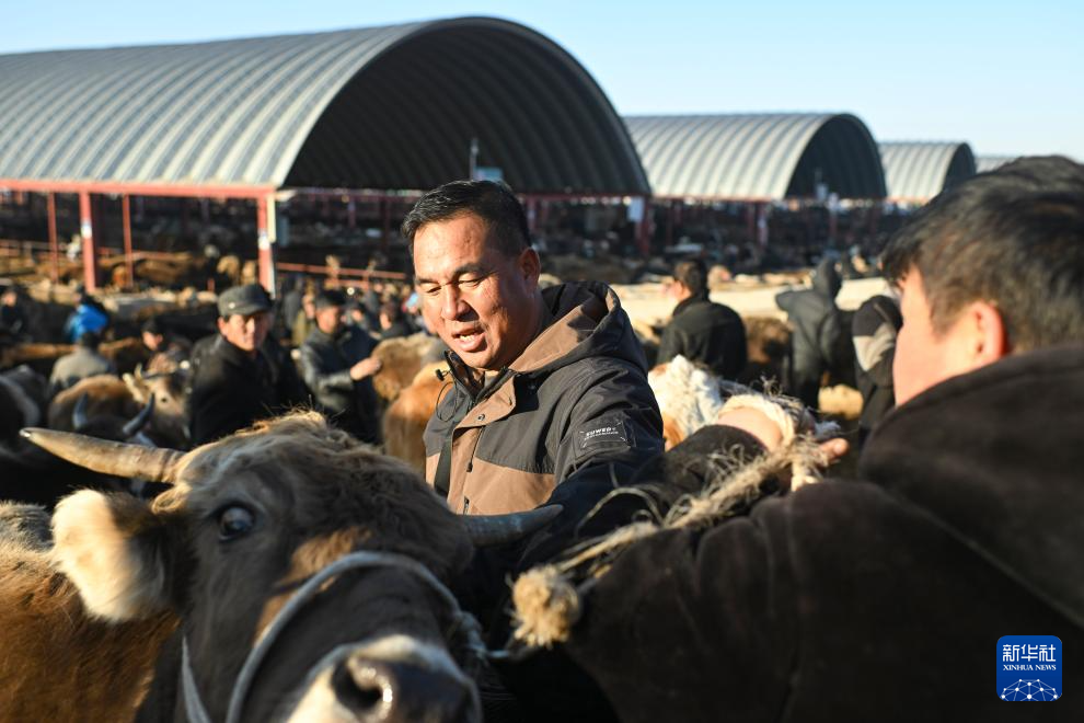 在新疆的巴扎 他们是连接牧场和市场的“纽带”