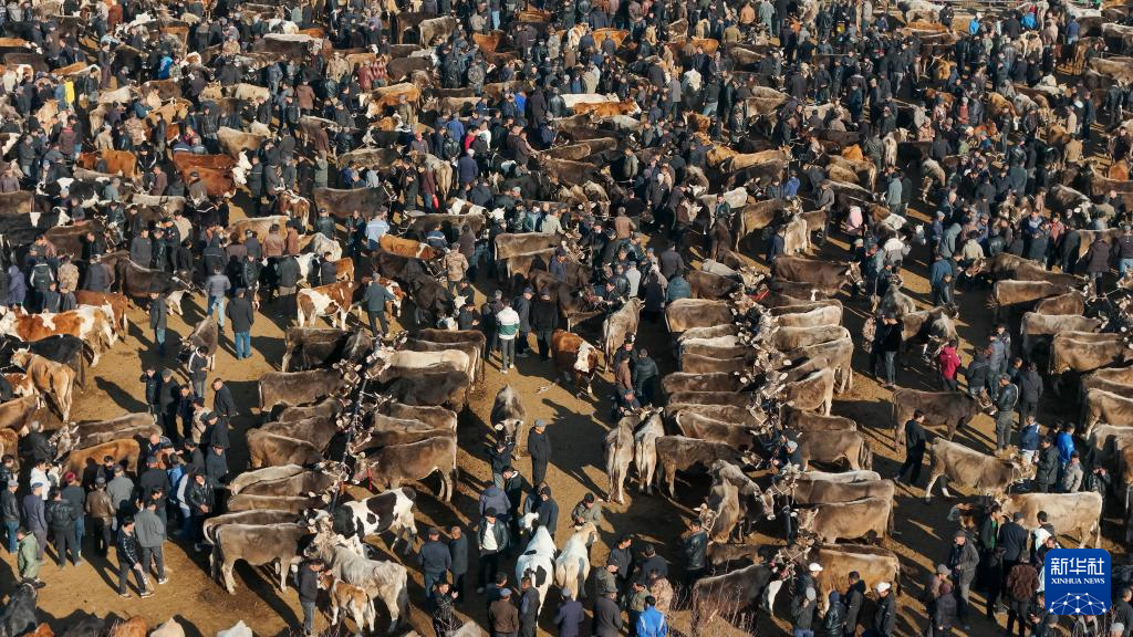 在新疆的巴扎 他们是连接牧场和市场的“纽带”