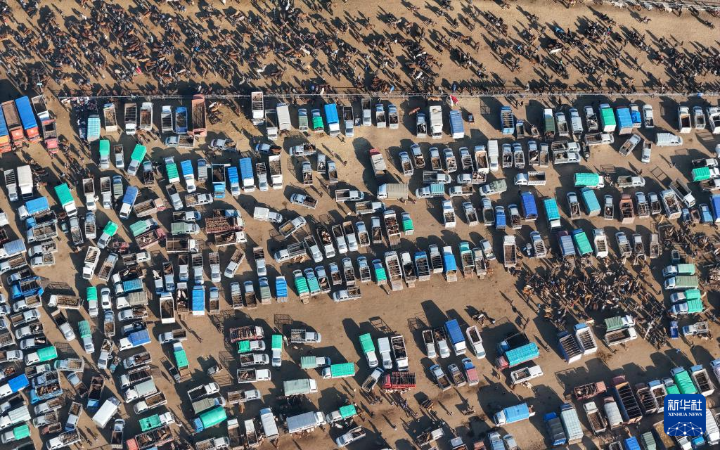 在新疆的巴扎 他们是连接牧场和市场的“纽带”