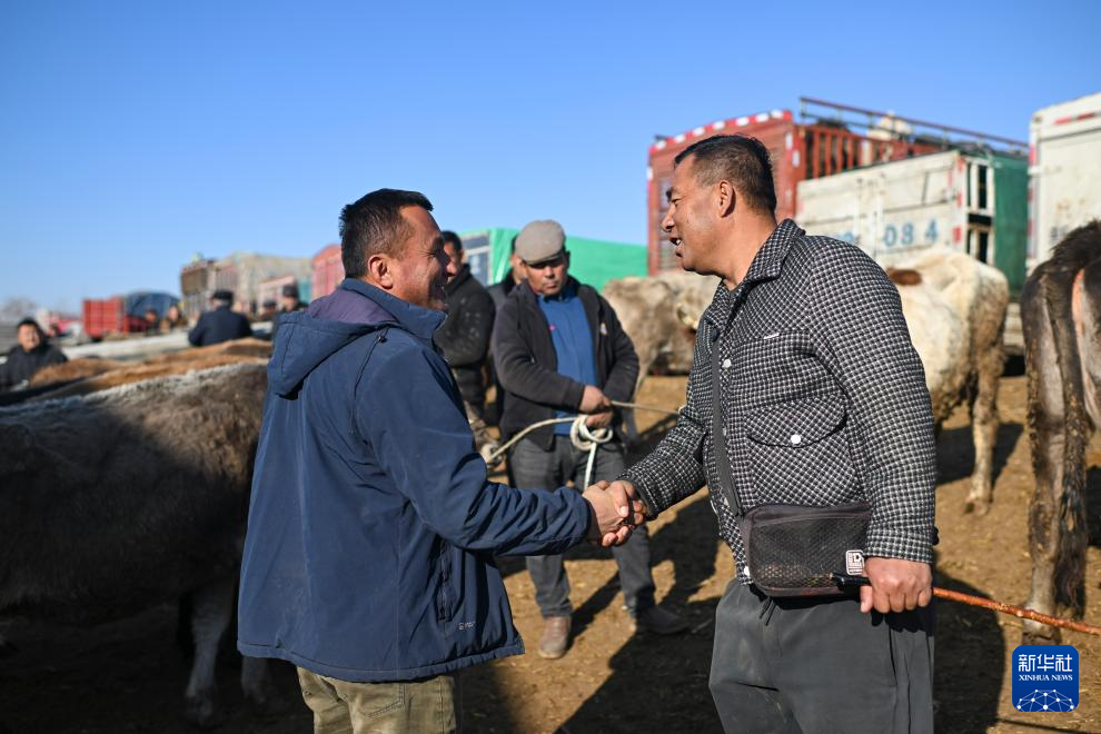 在新疆的巴扎 他们是连接牧场和市场的“纽带”