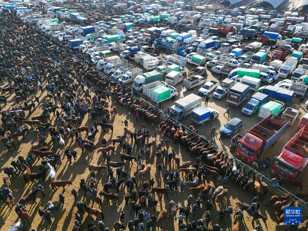 在新疆的巴扎 他们是连接牧场和市场的“纽带”