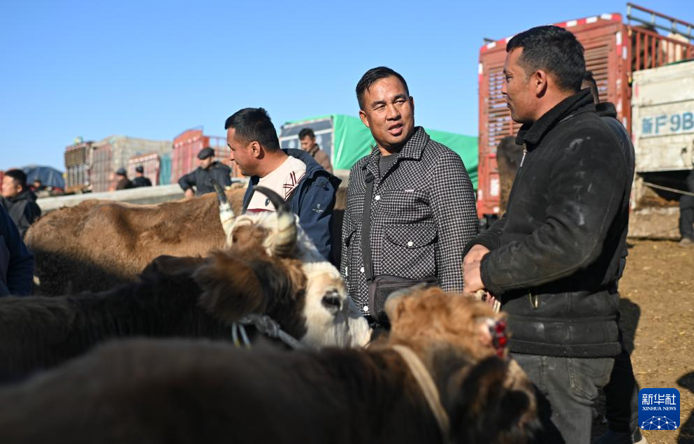 在新疆的巴扎 他们是连接牧场和市场的“纽带”