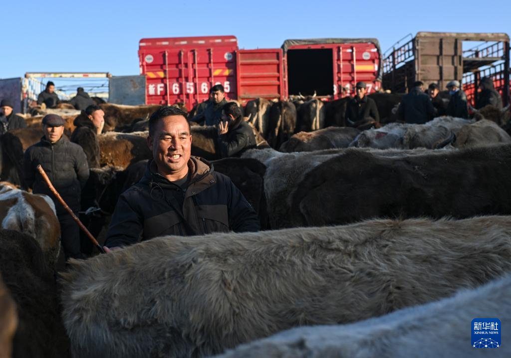 在新疆的巴扎 他们是连接牧场和市场的“纽带”