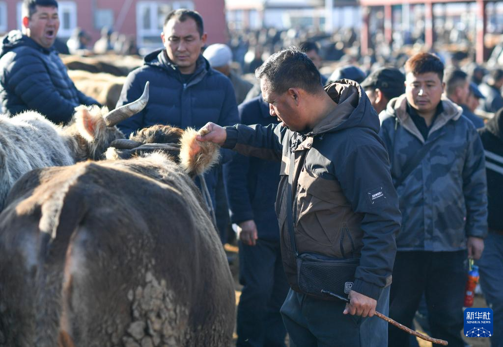 在新疆的巴扎 他们是连接牧场和市场的“纽带”