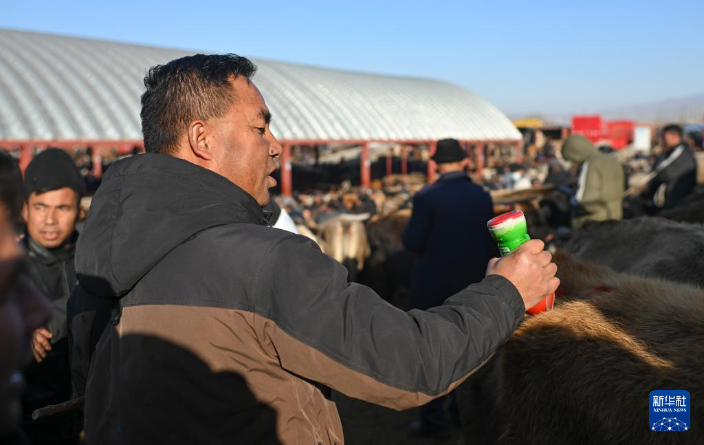 在新疆的巴扎 他们是连接牧场和市场的“纽带”