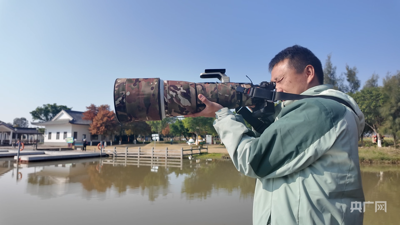 行进的海岸线丨滨海湿地变候鸟“天堂” 万羽翱翔展生态美景