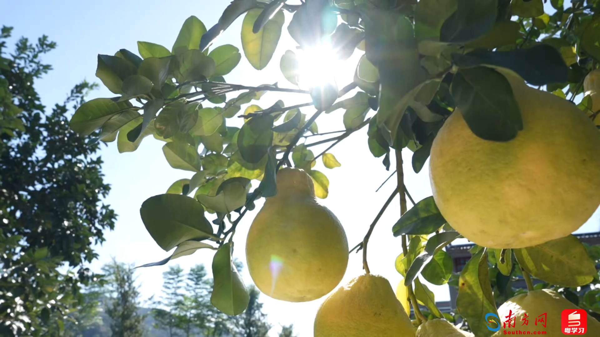 百千万·山海间｜五口人，50年