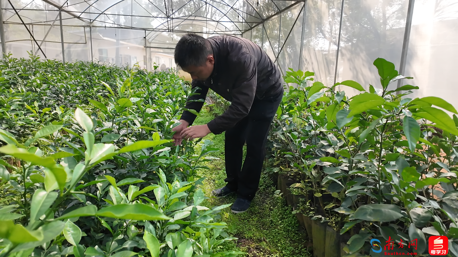 百千万·山海间｜五口人，50年