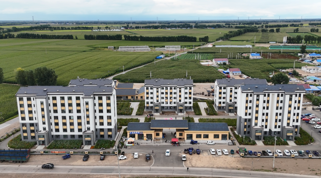 脱贫村的这五年 | 从“回村‘救场’”到“‘三联’共创”——五家子兴起在兴安岭 脱贫村的这五年 | 从“回村‘救场’”到“‘三联’共创”——五家子兴起在兴安岭