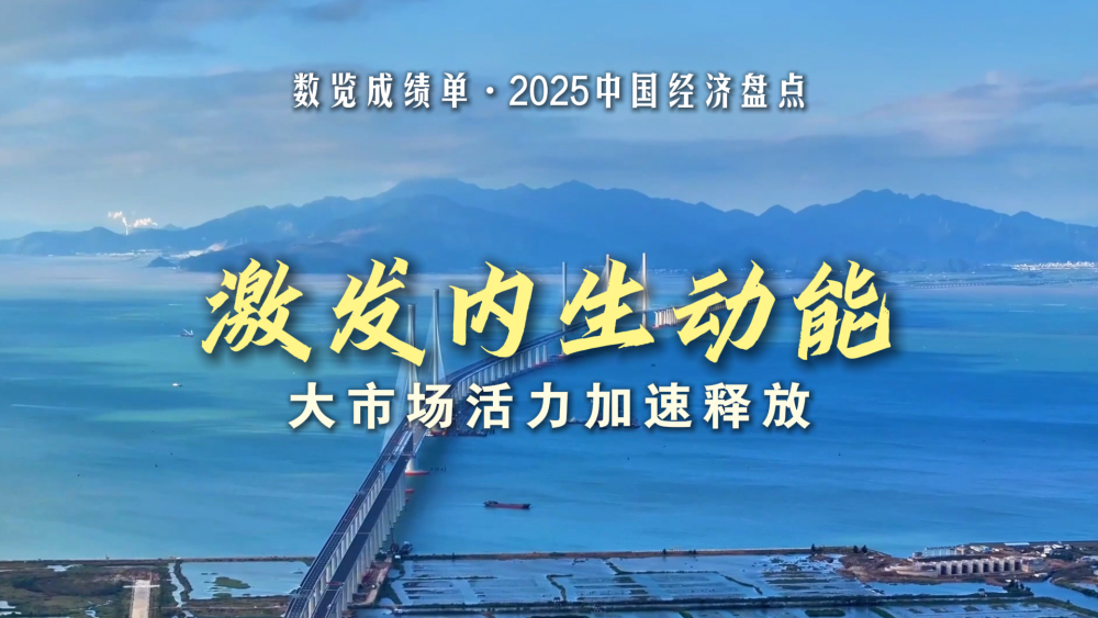 数览成绩单·2025中国经济盘点｜激发内生动能，大市场活力加速释放