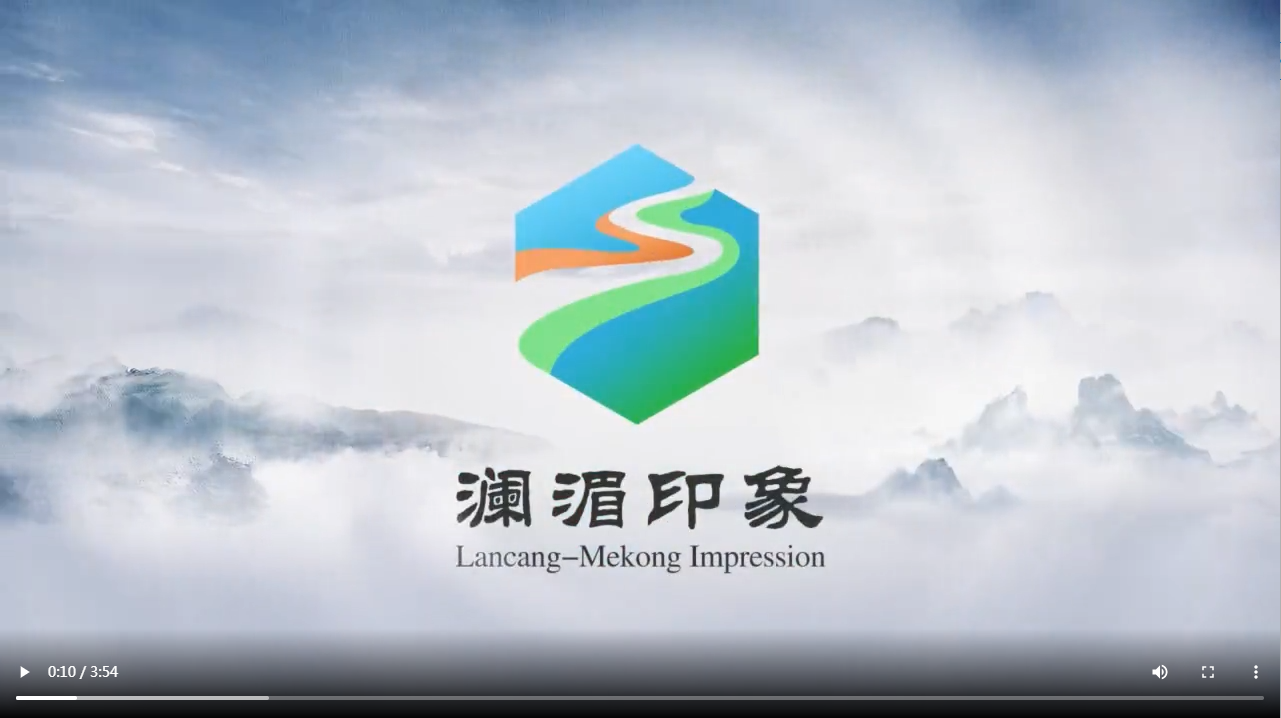 【澜湄印象】越南留学生回国“摆摊”推中国剪纸文化