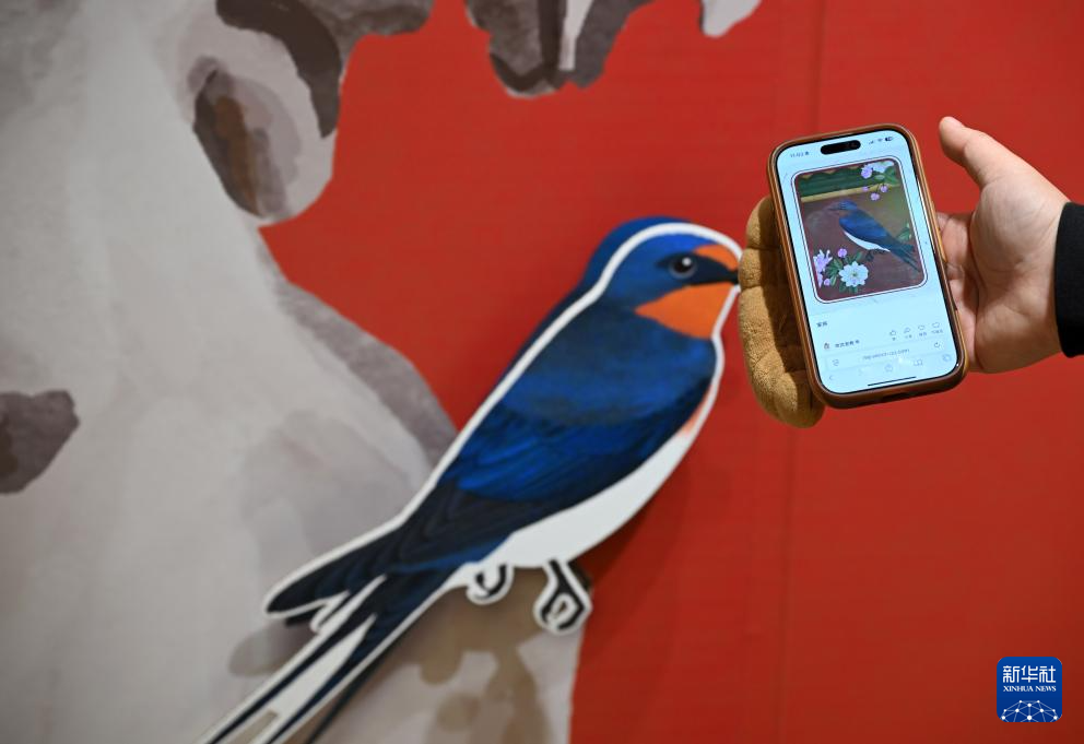 在故宫“听色彩讲故事”