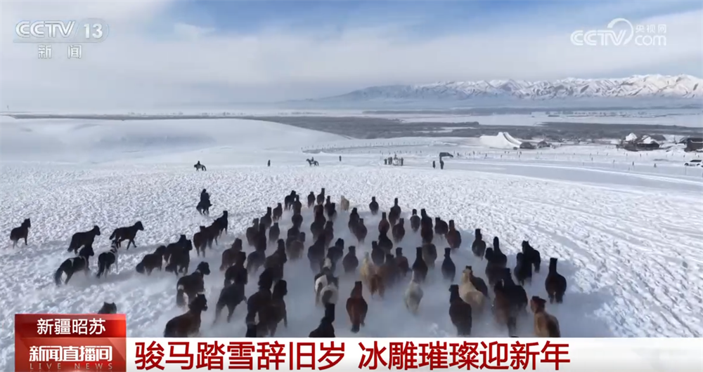 新业态、新供给澎湃假日文旅消费新动能 文化之美“百花齐放”添彩元旦假期