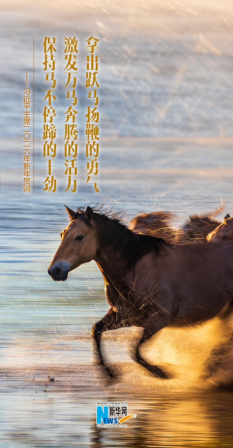 聆听新年贺词，一起为梦想奋斗、为幸福打拼！