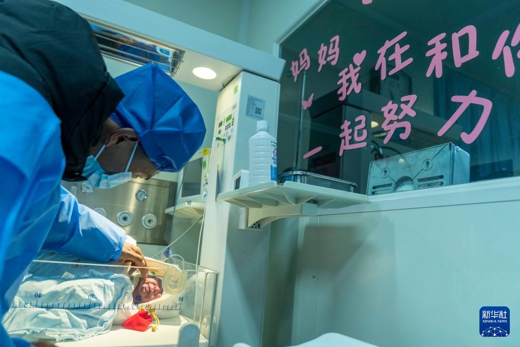 新年迎接新生命