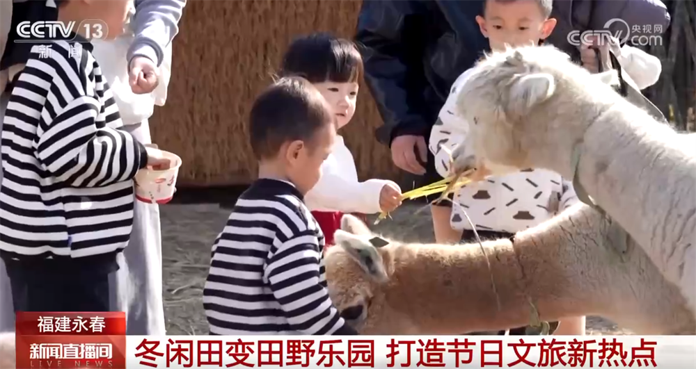 多彩活动“解锁”文化跨年新场景带来新体验 全方位激发节日消费活力