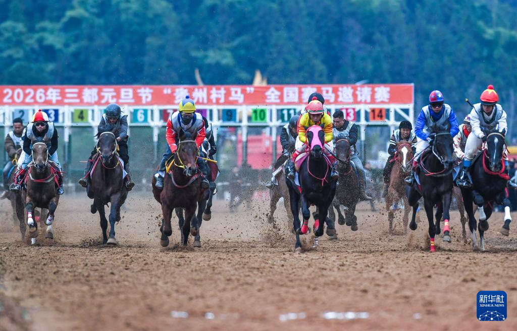 贵州“村马”迎元旦
