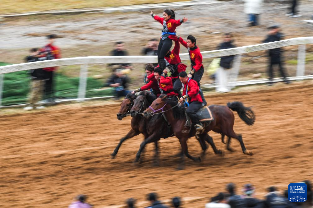 贵州“村马”迎元旦