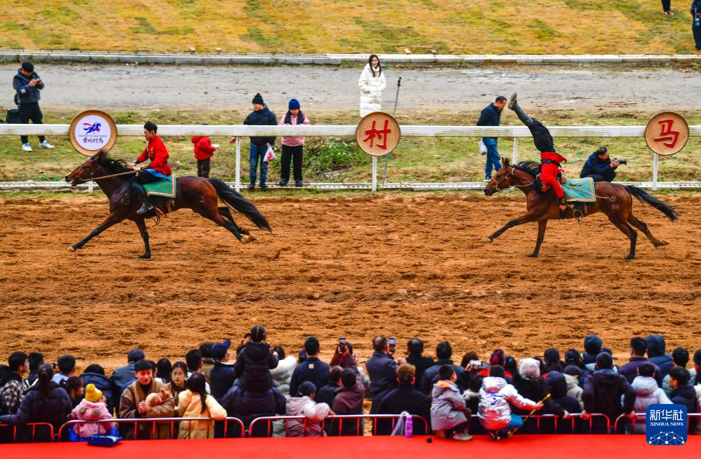 贵州“村马”迎元旦