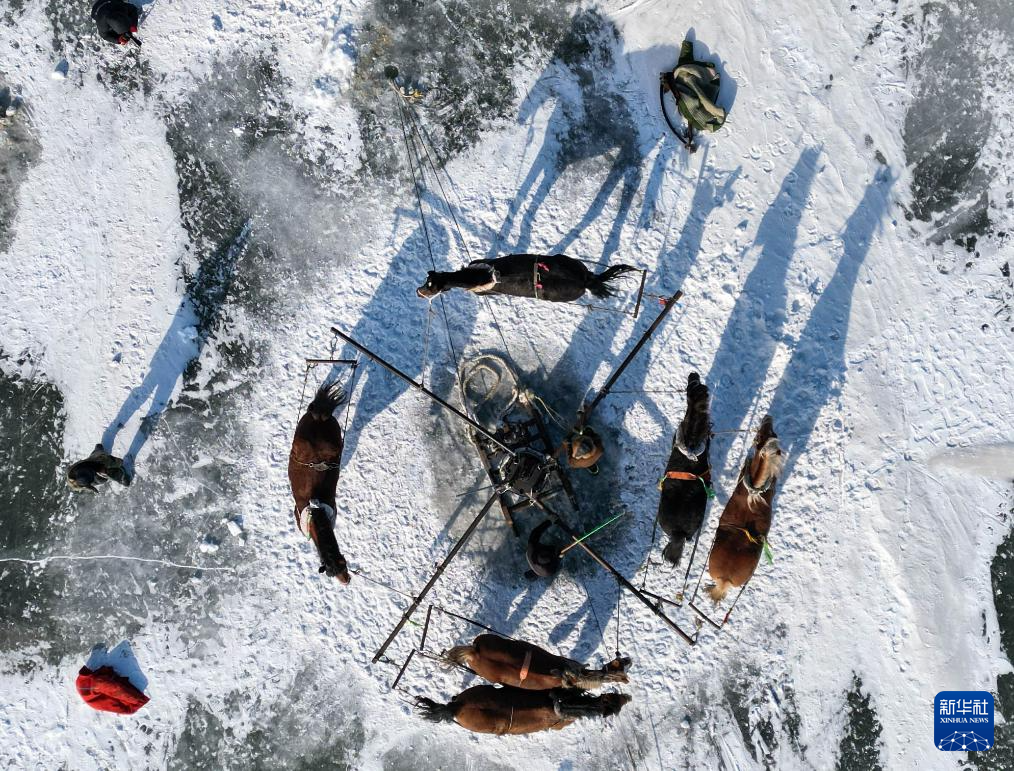 冰湖腾鱼 在查干湖感受冬捕魅力